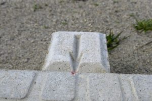 Thumbnail of post image 031