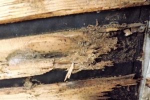 Thumbnail of post image 152