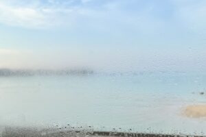 Thumbnail of post image 113