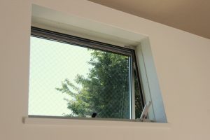 Thumbnail of post image 051
