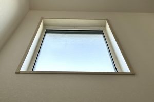 Thumbnail of post image 070