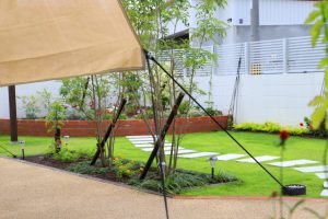 Thumbnail of post image 192