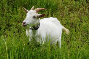 Thumbnail of post image 151