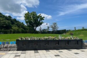 Thumbnail of post image 066