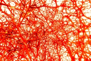 健康と断熱の関連　1